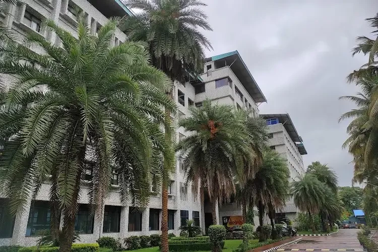 Pillai College of Arts, Commerce and Science, Navi Mumbai