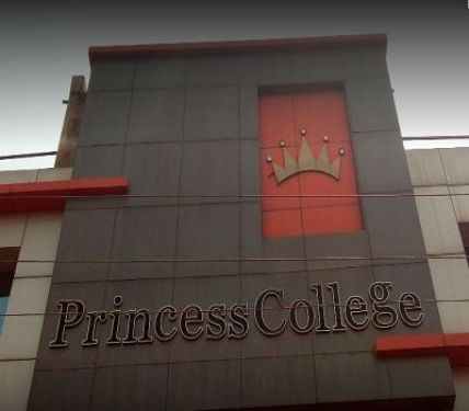 Princess College, Raipur