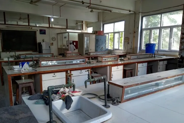 Principal K.M. Kundnani College of Pharmacy, Mumbai