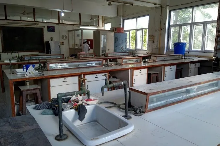 Principal K.M. Kundnani College of Pharmacy, Mumbai