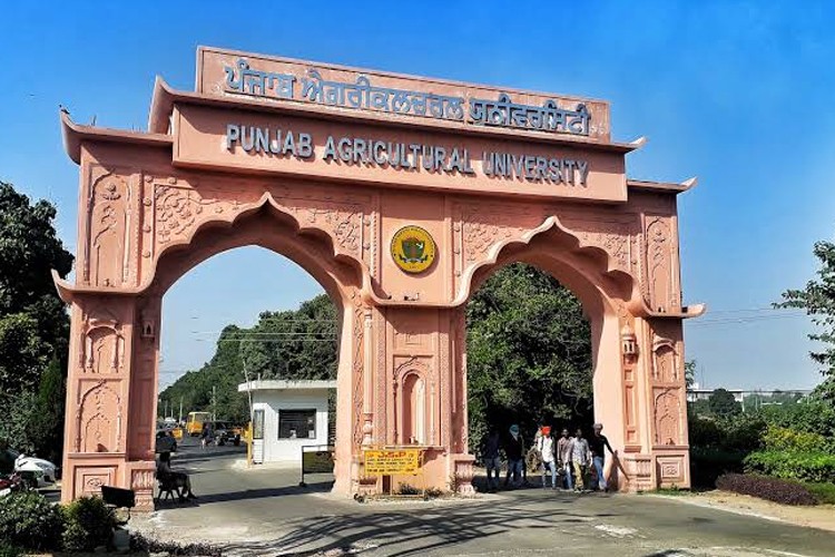 Punjab Agricultural University, Ludhiana