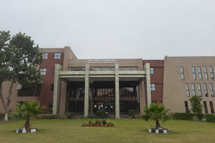 Punjab Agricultural University, Ludhiana