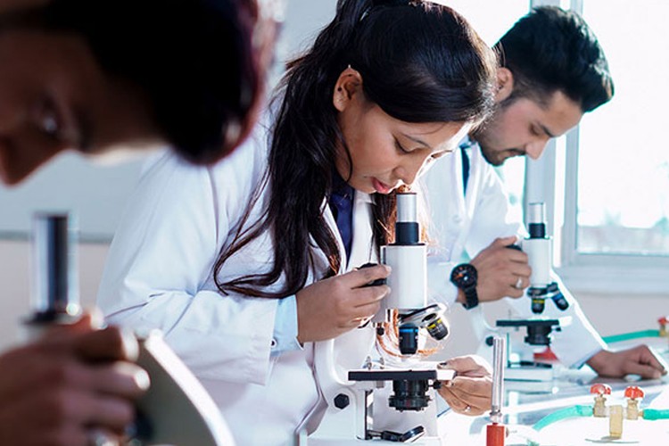 Punjab College of Pharmacy, Bathinda