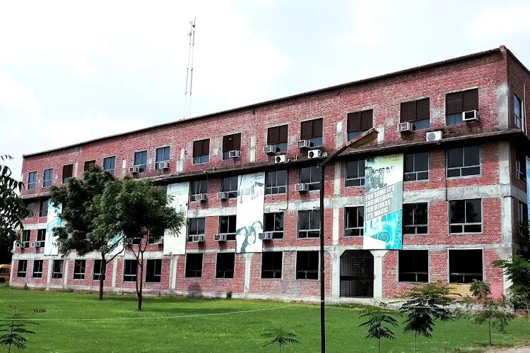 Rai University, Ahmedabad