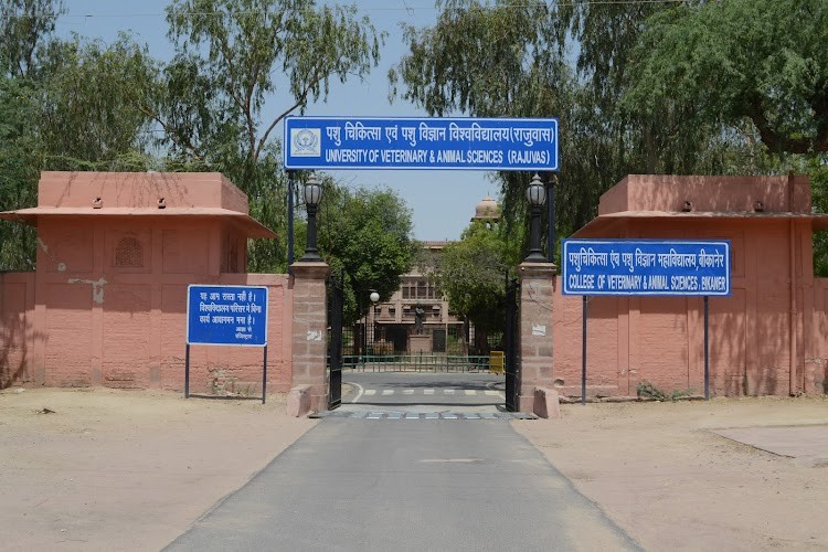 Rajasthan University of Veterinary and Animal Sciences, Bikaner