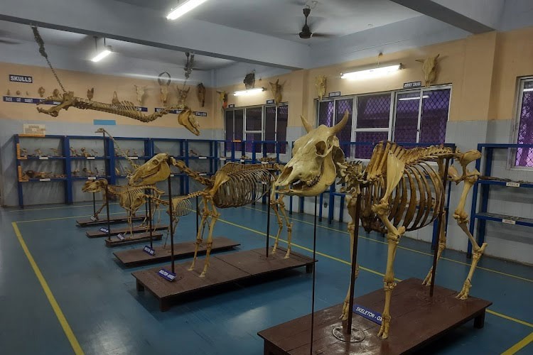 Rajiv Gandhi College of Veterinary & Animal Sciences, Pondicherry