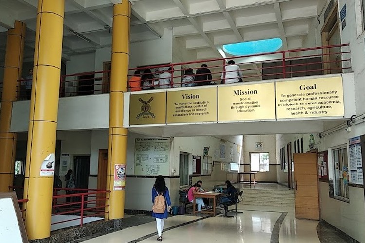 Rajiv Gandhi Institute of Information Technology and BioTechnology, Pune