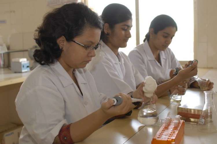 Rajiv Gandhi Institute of Information Technology and BioTechnology, Pune