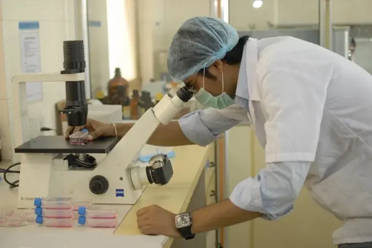 Rajiv Gandhi Institute of Information Technology and BioTechnology, Pune