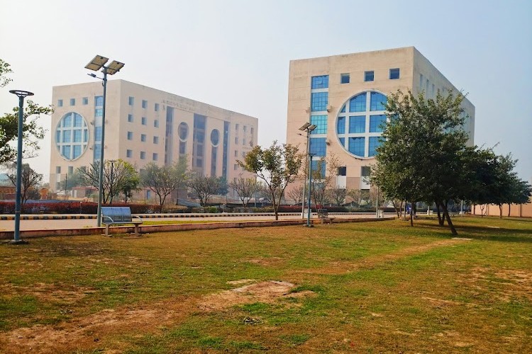 Rajiv Gandhi Institute of Petroleum Technology, Amethi