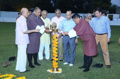 Ramanbhai Patel College of Pharmacy, Anand