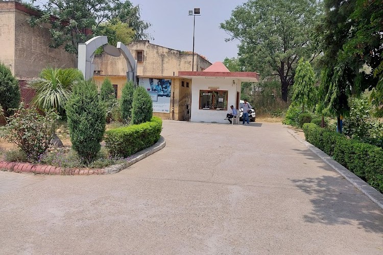 Ramgarhia Institute of Engineering and Technology, Phagwara