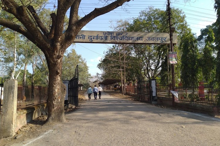 Rani Durgavati Vishwavidyalaya, Jabalpur