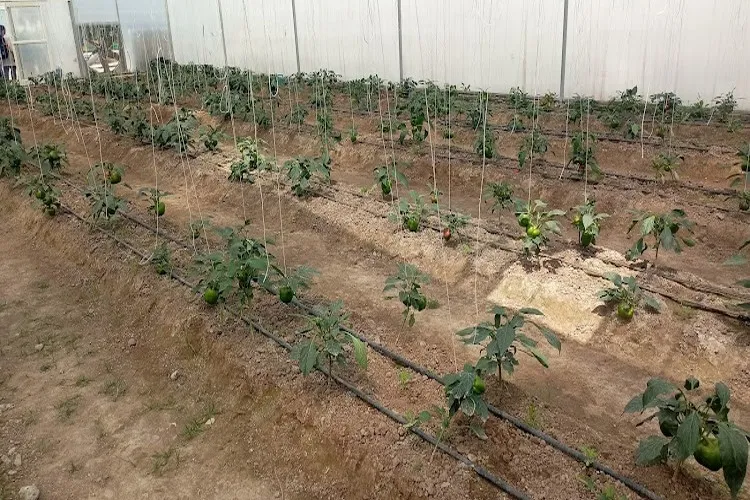 Rani Lakshmi Bai Central Agricultural University, Jhansi