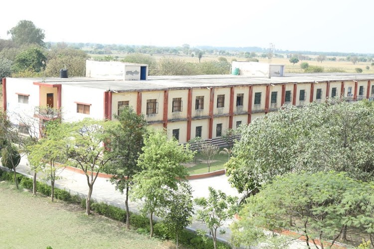 Rattan Institute of Technology and Management, Palwal