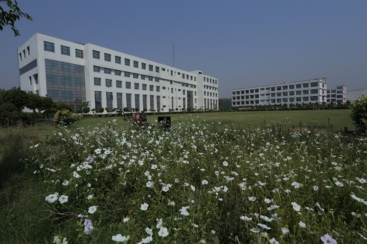 Rayat Bahra Innovative Institute of Technology and Management, Sonipat