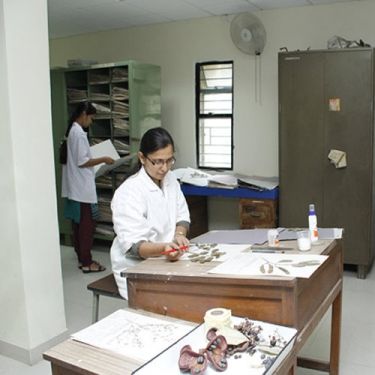 Regional Ayurveda Institute for Fundamental Research, Pune