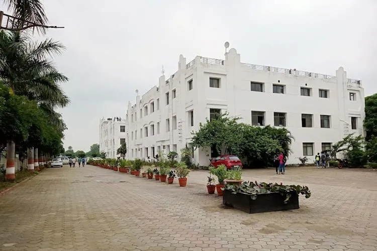 Renaissance University, Indore