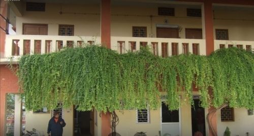 R.K. College of Law, Firozabad