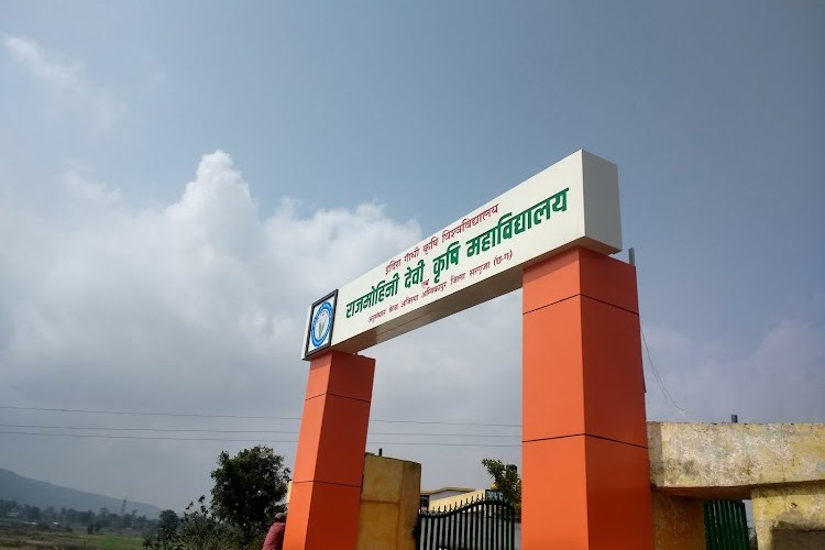 RMD College of Agriculture and Research Station, Raipur