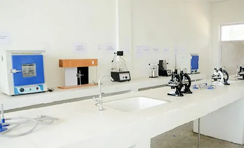 RPS College of Pharmacy, Barabanki