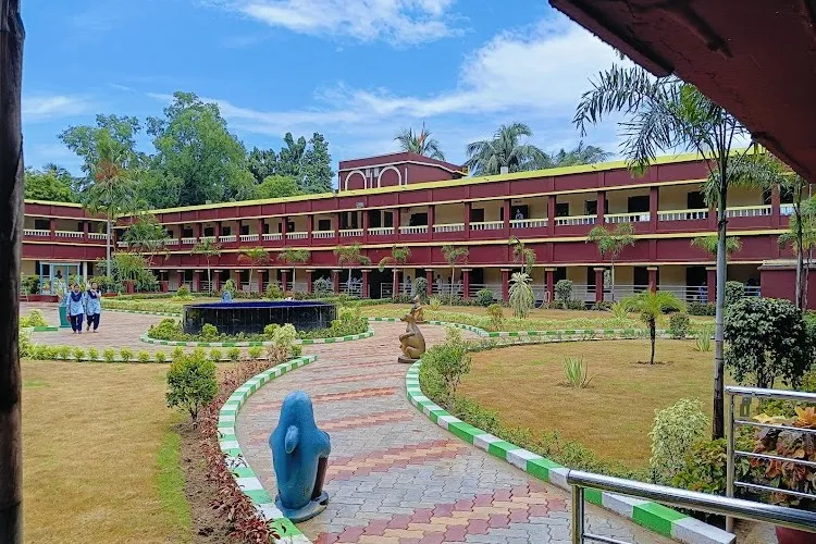 Rural Institute of Higher Studies, Baleswar