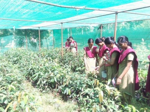 RVS Agriculture College, Thanjavur