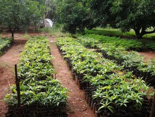 RVS Agriculture College, Thanjavur