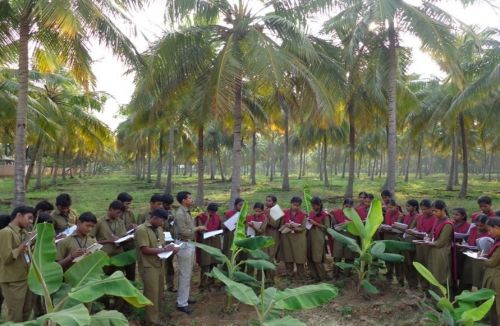RVS Padmavathy College of Horticulture, Dindigul