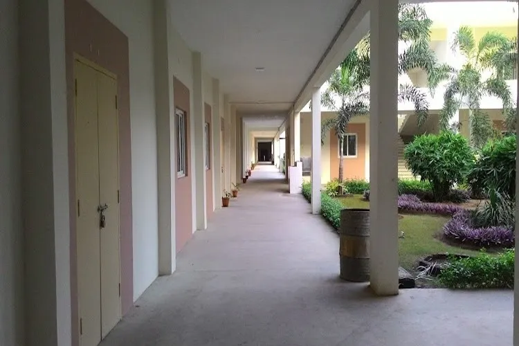 S. Thangapazham Agriculture College, Tenkasi