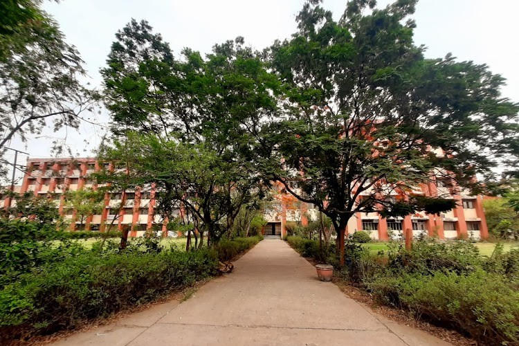 Sachdeva Institute of Technology, Mathura