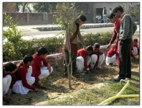 Sacred Heart International College of Education, Barnala