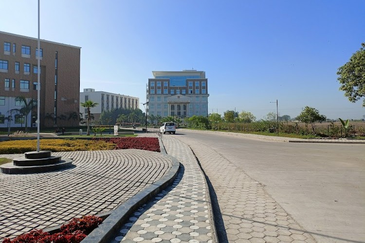 SAGE University, Bhopal