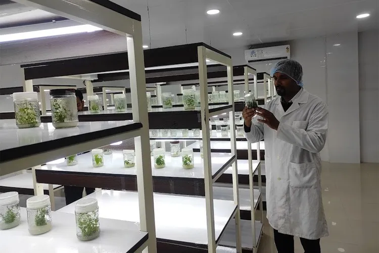 SAGE University, Indore