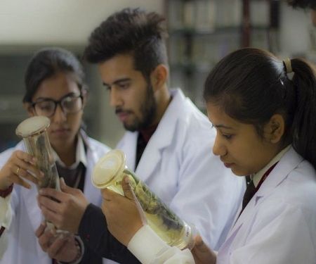 Sai Institute of Paramedical & Allied Science, Dehradun