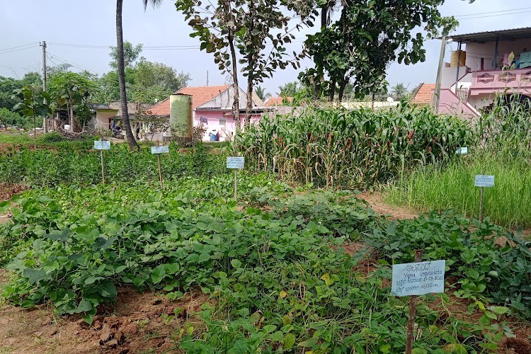 Sampoorna International Institute of Agriculture Sciences and Horticultural Technology, Bangalore