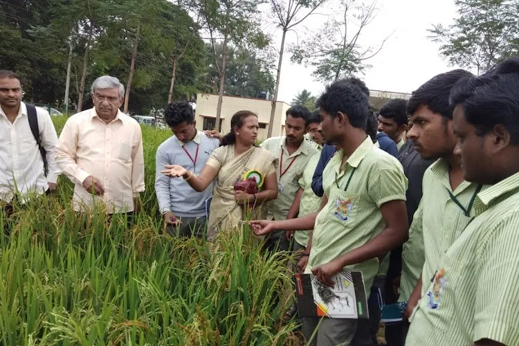 Sampoorna International Institute of Agriculture Sciences and Horticultural Technology, Bangalore