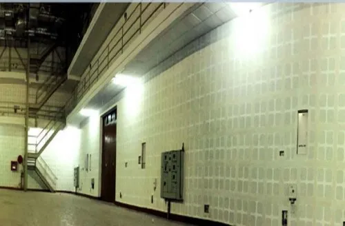 Satyajit Ray Film and Television Institute, Kolkata