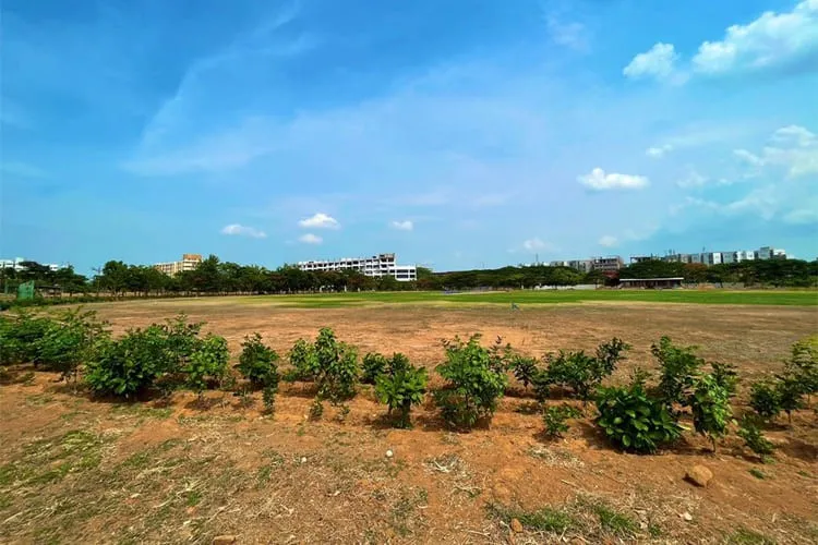 Saveetha College of Physiotherapy, Chennai