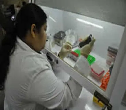 Schieffelin Institute of Health - Research Leprosy Centre Karigiri, Vellore