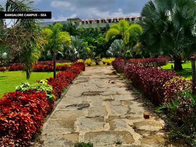 Sea College of Management, Bangalore