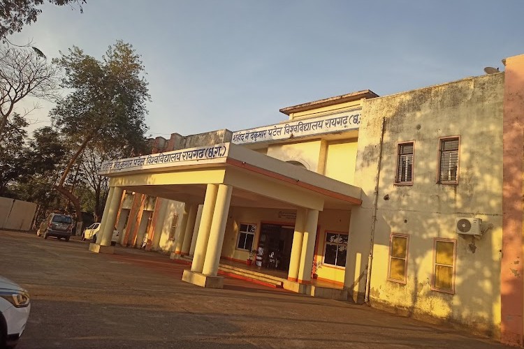 Shaheed Nandkumar Patel Vishwavidyalaya, Raigarh