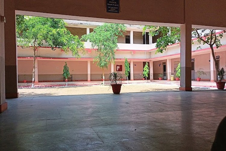 Shaheed Nandkumar Patel Vishwavidyalaya, Raigarh