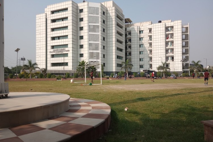 Shaheed Sukhdev College of Business Studies, New Delhi