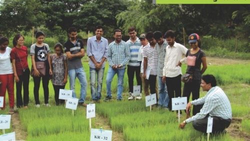 Shepherd Institute of Engineering and Technology, Prayagraj