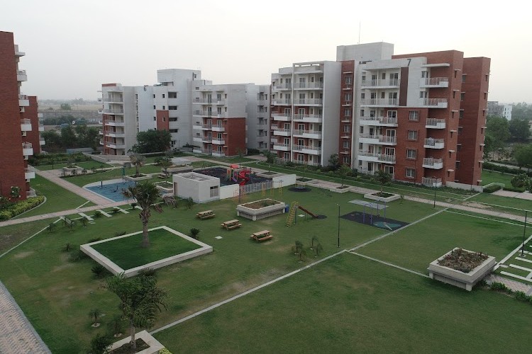 Shiv Nadar University, Greater Noida