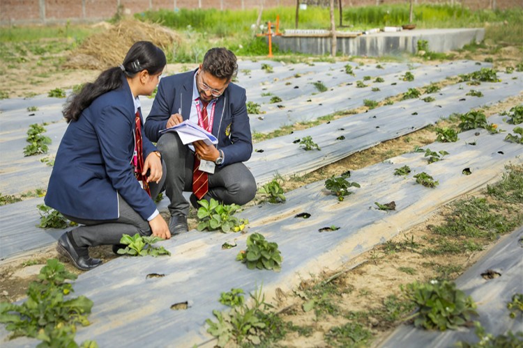 Shivalik Institute of Professional Studies, Dehradun