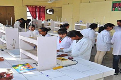 Shree Babasaheb Gharfalkar College of Pharmacy, Nagpur