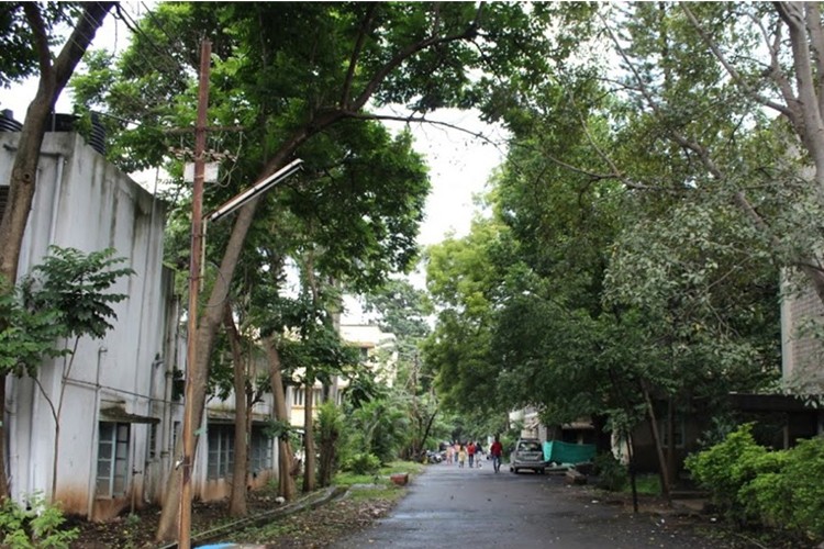 Shreemati Nathibai Damodar Thackersey Women's University, Pune