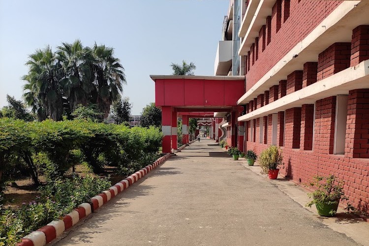 Shri Baba Mastnath Institute of Pharmaceutical Sciences and Research, Rohtak